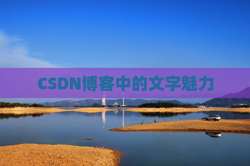 CSDN博客中的文字魅力